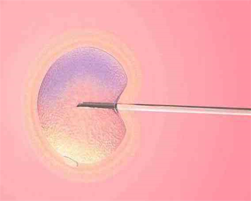 西安代生孩子价格,内地去香港母血性别鉴定来自朋友分享-西安有没有供卵的