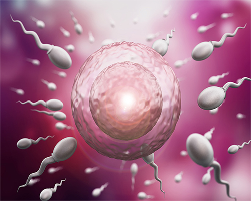 41岁amh1试管能成功吗&供卵是冻卵还是鲜卵,2026金华不孕不育医院排名，除市人民