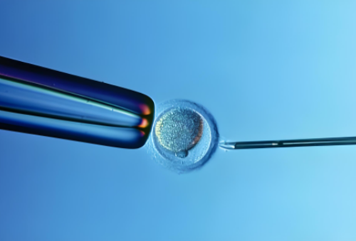 西安最好代怀机构,试管婴儿没有成功可能是哪些原因导致的_四维都是黑色医生