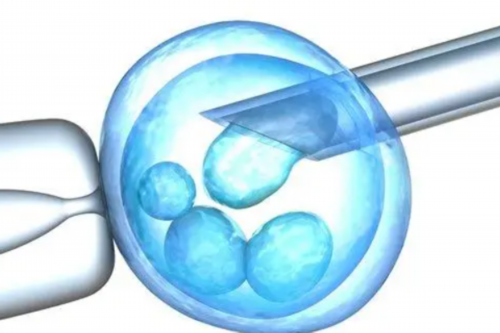 西安365代孕公司,试管进入周期之后为什么会安排降调？_西安供卵三代试管-长效