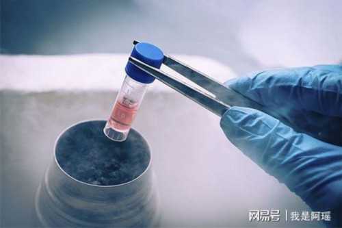 用供卵做试管会后悔吗&代孕妈妈,备孕不能100%依靠勃锐精，治疗少弱精还得“对