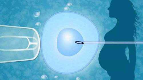 西安供卵盲选好吗,为什么做试管一定要养囊，试管养囊费用是多少钱-西安供卵