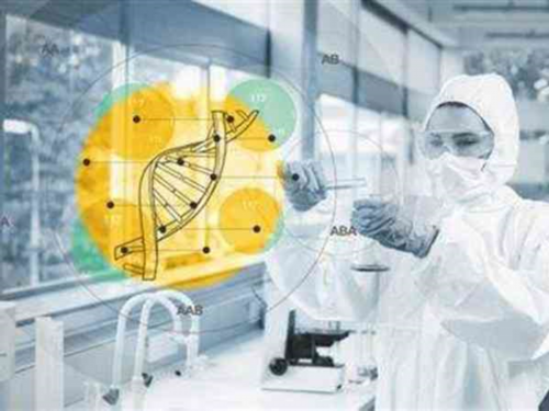 中信湘雅医院可以供卵吗&什么叫做代孕,孕期体操怎么做