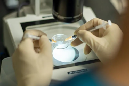 想生女儿的孕前准备吃什么？有哪些传统方法生女儿？