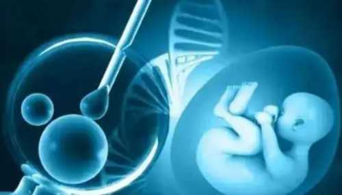 陕西哪个医院试管,陕西三代试管婴儿私立医院有哪些？陕西试管私立好还是公