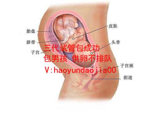 西安省人民医院供卵_西安代怀_备孕期间女性要多吃什公务员非法供卵么食物