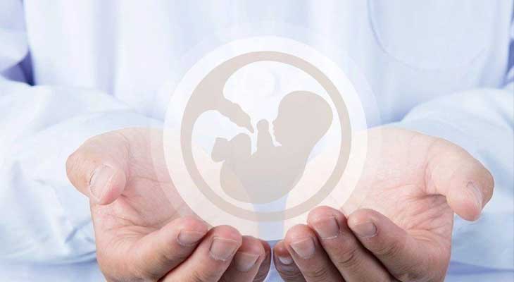 供卵西安代孕案例|“胚胎碎片率”是个啥？试管专家教你判别胚胎优劣