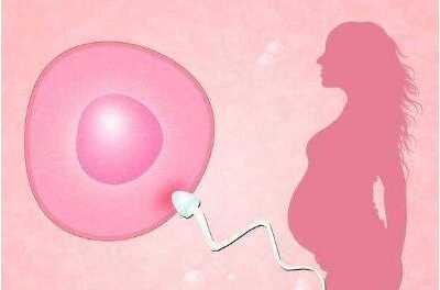 西安第三代代孕成功率|做深圳试管婴儿第一次促排和二次促排需要间隔多长时
